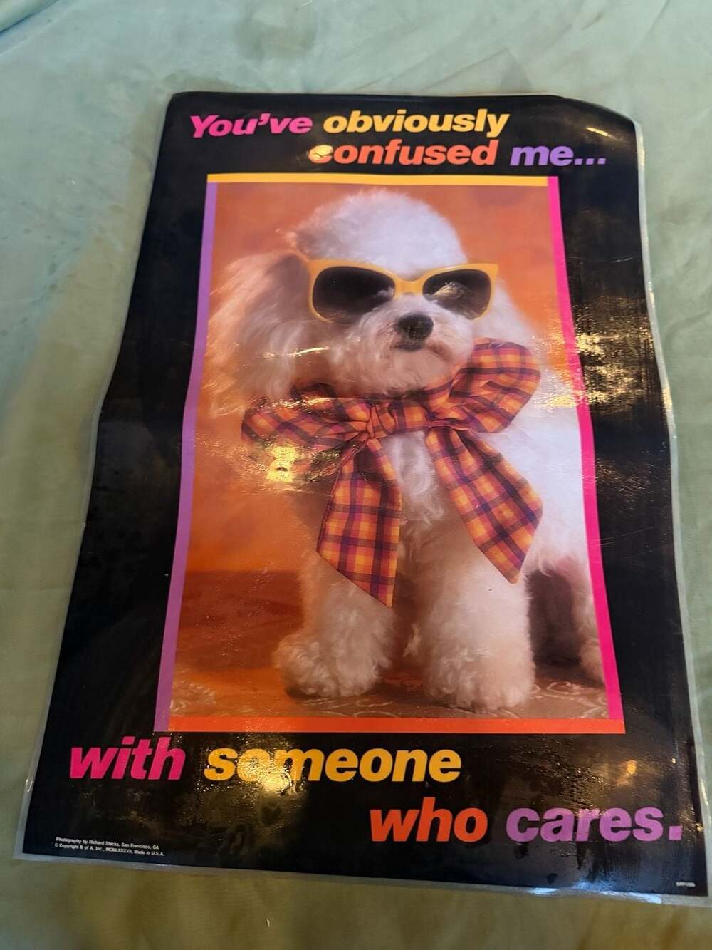 Vtg 1987 Richard Stacks You've Obviously Confused Me With Someone Dog Poster